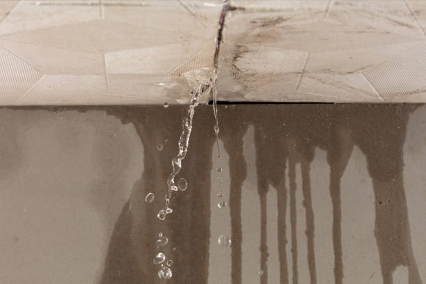 Professional Burst Pipe Cleanup technician working in Gibbon, MN